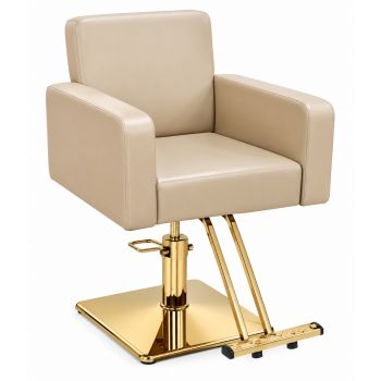 Professional Hydraulic Golden Salon Styling Chair – Heavy-Duty 200kg Capacity